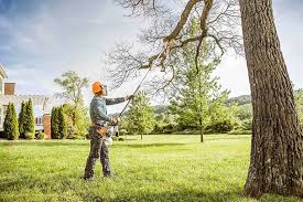 Bagdad, FL  Tree Services Company